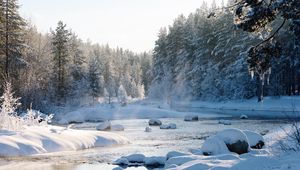 Preview wallpaper snow, snowy, forest, river, snowdrifts