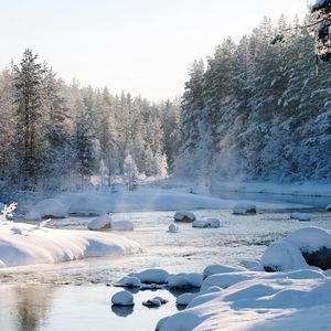 Preview wallpaper snow, snowy, forest, river, snowdrifts