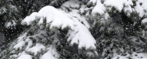 Preview wallpaper snow, spruce, winter, snowfall