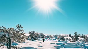 Preview wallpaper snow, sun, landscape, winter