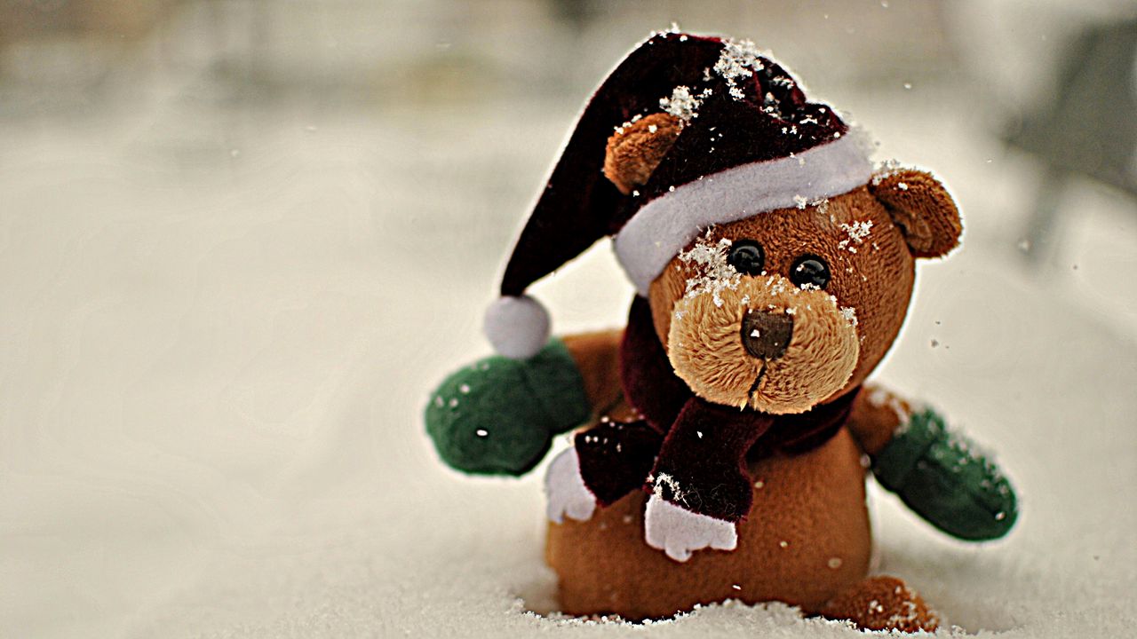 Wallpaper snow, teddy, teddy bear