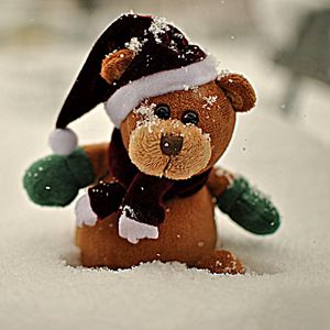 Preview wallpaper snow, teddy, teddy bear
