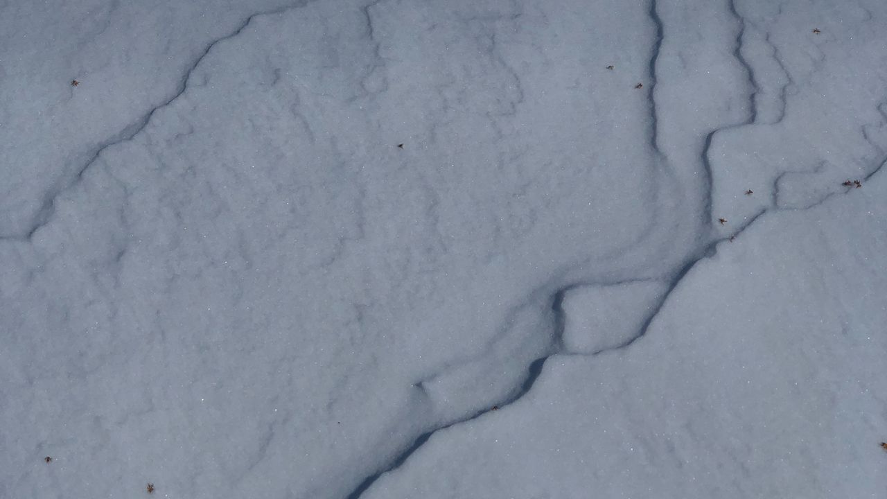 Wallpaper snow, texture, surface, gray