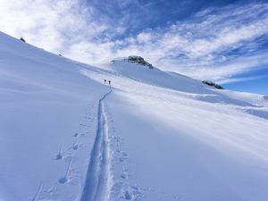 Preview wallpaper snow, trace, skiers, silhouettes, slope, mountain