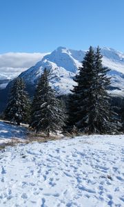 Preview wallpaper snow, traces, trees, mountains, winter