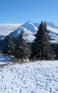 Preview wallpaper snow, traces, trees, mountains, winter