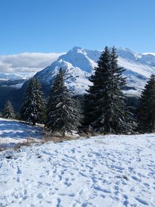 Preview wallpaper snow, traces, trees, mountains, winter