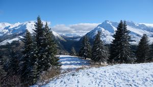 Preview wallpaper snow, traces, trees, mountains, winter