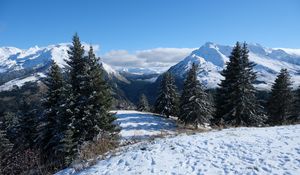 Preview wallpaper snow, traces, trees, mountains, winter