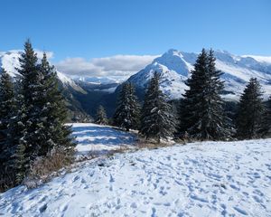 Preview wallpaper snow, traces, trees, mountains, winter