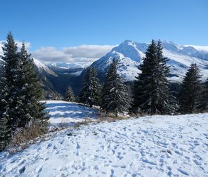 Preview wallpaper snow, traces, trees, mountains, winter