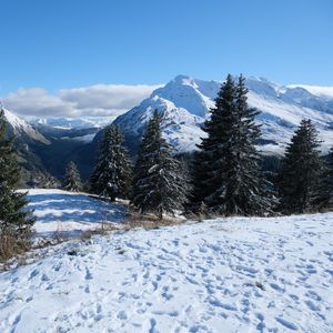 Preview wallpaper snow, traces, trees, mountains, winter