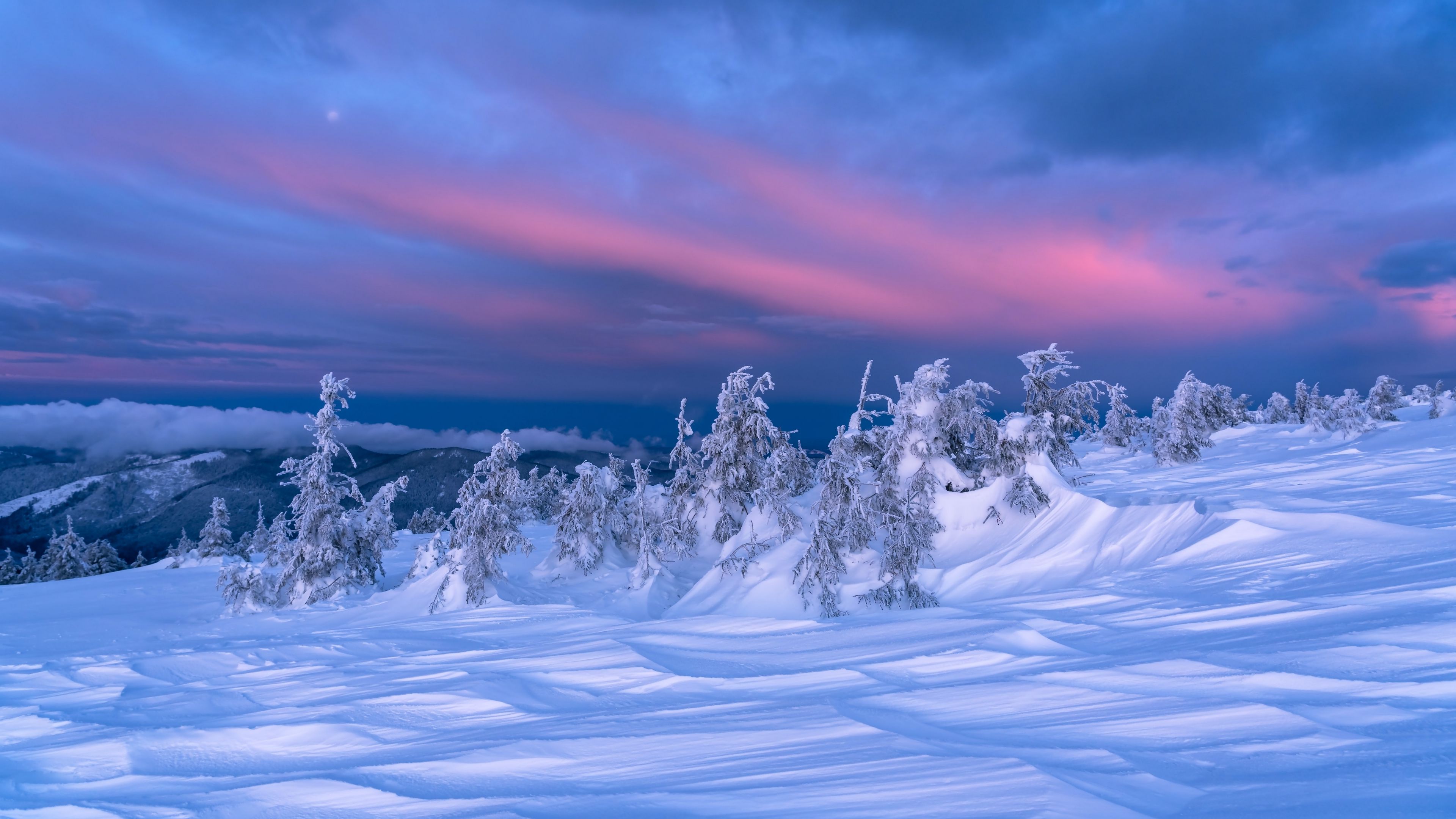 Tuyết nhấp nhô dưới ánh hoàng hôn với cây cối phủ đầy màu trắng làm nên một bức tranh phong cảnh đẹp tuyệt vời trong mùa đông. Hình ảnh này mang đến sự yên bình, tĩnh lặng nhưng cũng rất tràn đầy sức sống và sự khởi đầu mới.