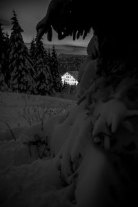 Preview wallpaper snow, trees, house, night, winter, bw