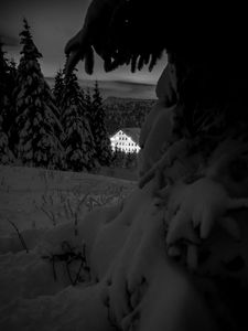 Preview wallpaper snow, trees, house, night, winter, bw