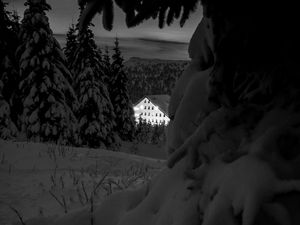 Preview wallpaper snow, trees, house, night, winter, bw