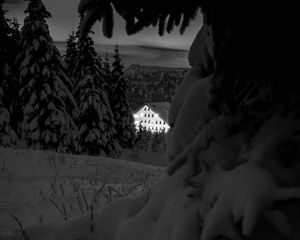 Preview wallpaper snow, trees, house, night, winter, bw