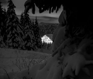Preview wallpaper snow, trees, house, night, winter, bw