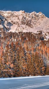 Preview wallpaper snow, trees, mountains, forest, winter