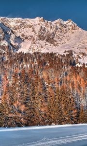 Preview wallpaper snow, trees, mountains, forest, winter