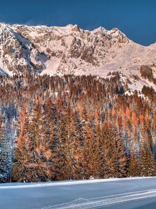 Preview wallpaper snow, trees, mountains, forest, winter