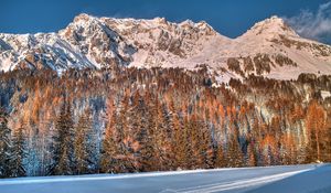 Preview wallpaper snow, trees, mountains, forest, winter