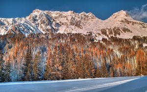 Preview wallpaper snow, trees, mountains, forest, winter