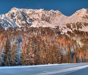 Preview wallpaper snow, trees, mountains, forest, winter