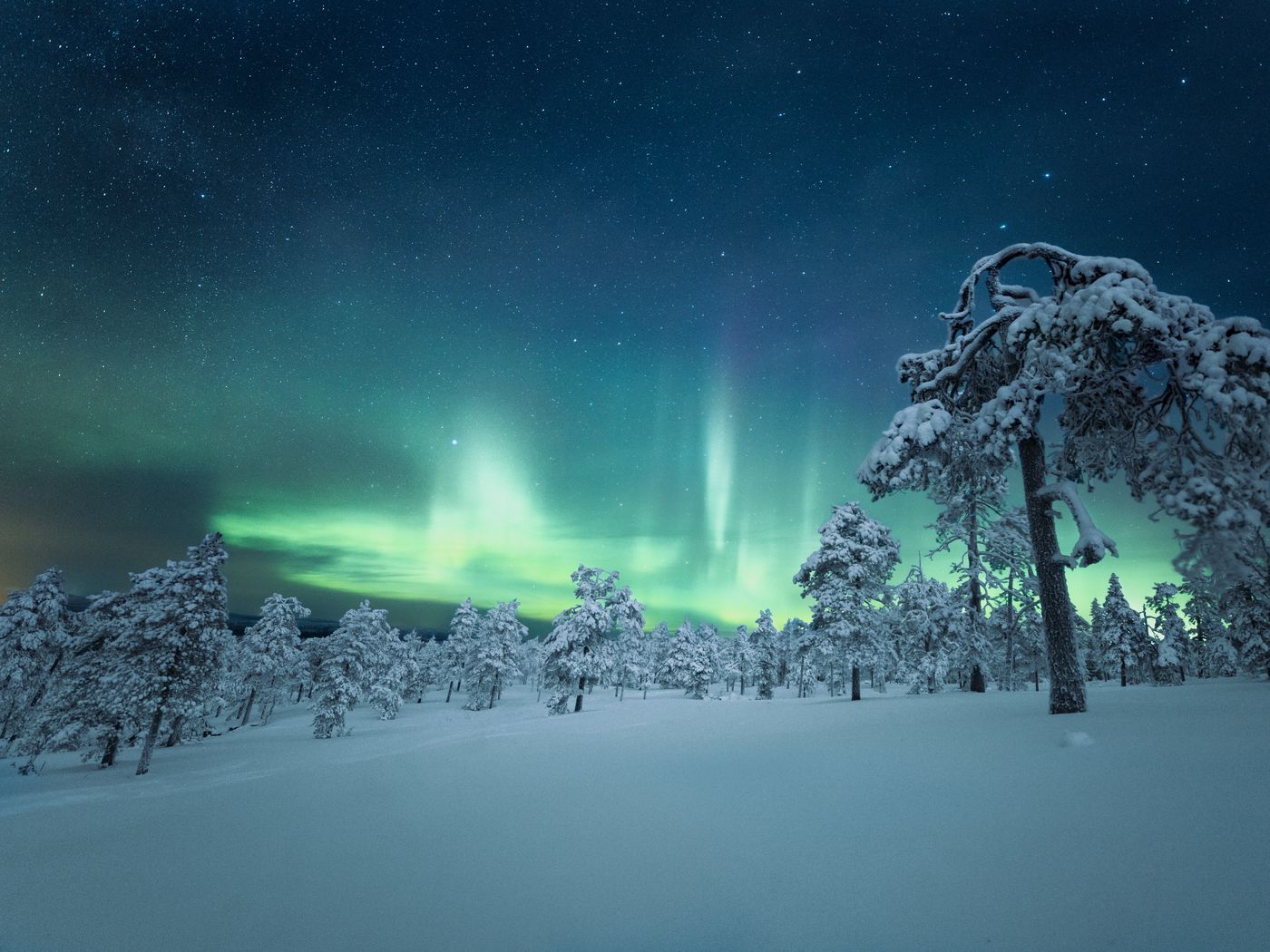 1400x1050 Wallpaper snow, trees, northern lights, night, winter