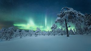 Preview wallpaper snow, trees, northern lights, night, winter