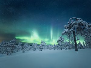 Preview wallpaper snow, trees, northern lights, night, winter