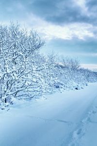 Preview wallpaper snow, trees, road, traces, winter, cloudy