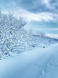 Preview wallpaper snow, trees, road, traces, winter, cloudy