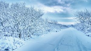 Preview wallpaper snow, trees, road, traces, winter, cloudy