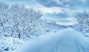 Preview wallpaper snow, trees, road, traces, winter, cloudy