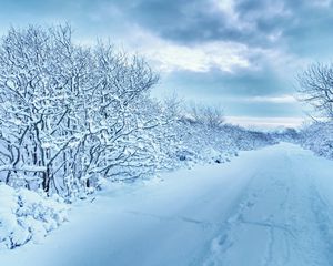 Preview wallpaper snow, trees, road, traces, winter, cloudy