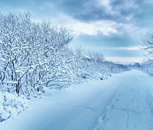 Preview wallpaper snow, trees, road, traces, winter, cloudy