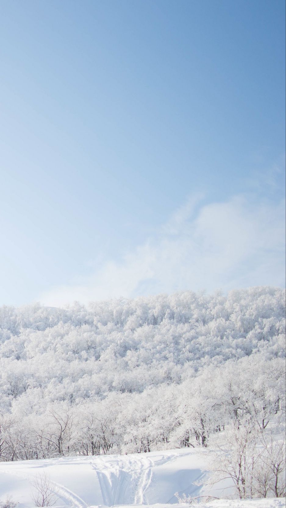 938x1668 Wallpaper snow, trees, sky