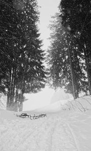 Preview wallpaper snow, trees, sleds, winter