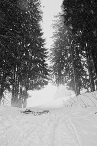 Preview wallpaper snow, trees, sleds, winter