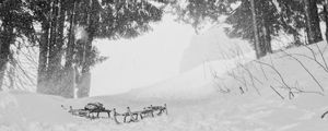 Preview wallpaper snow, trees, sleds, winter