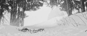 Preview wallpaper snow, trees, sleds, winter