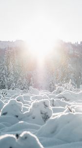 Preview wallpaper snow, trees, sunlight, winter, landscape