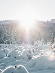 Preview wallpaper snow, trees, sunlight, winter, landscape