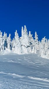 Preview wallpaper snow, trees, winter, snowy, landscape