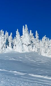 Preview wallpaper snow, trees, winter, snowy, landscape