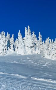 Preview wallpaper snow, trees, winter, snowy, landscape