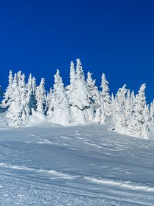 Preview wallpaper snow, trees, winter, snowy, landscape