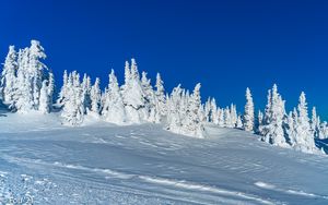 Preview wallpaper snow, trees, winter, snowy, landscape