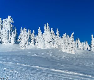 Preview wallpaper snow, trees, winter, snowy, landscape